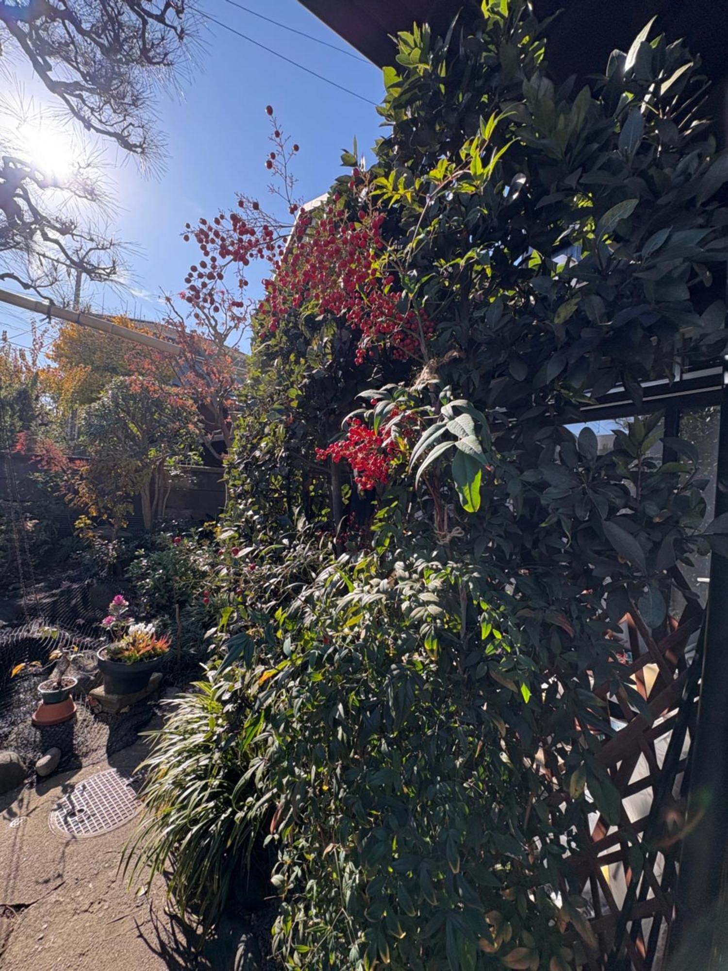 Kitazawa Cozy House Otel Tokyo Dış mekan fotoğraf
