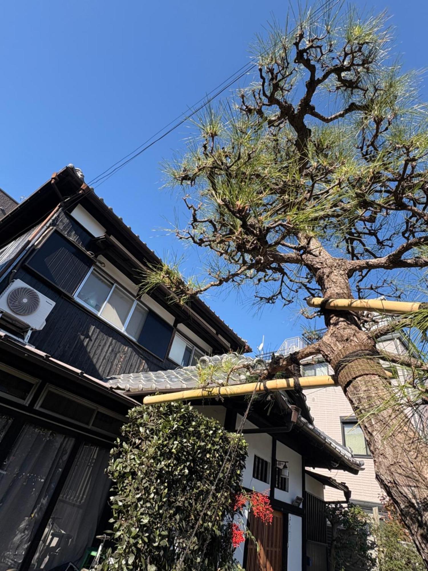 Kitazawa Cozy House Otel Tokyo Dış mekan fotoğraf